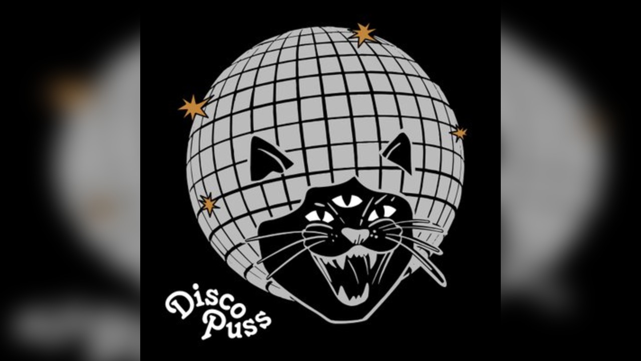 DISCO PUSS: End of Year Disco 'Bring Your Own Booze & Grooves'