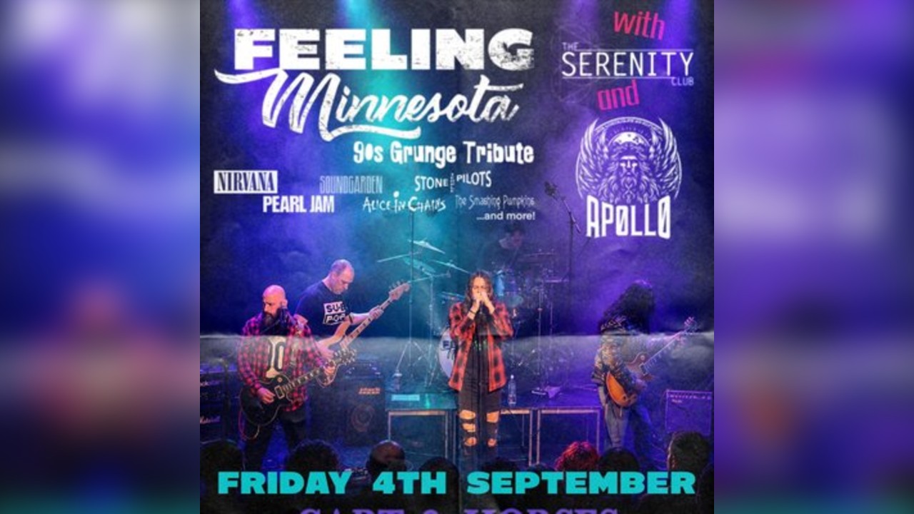 Feeling Minnnesota - 90s Grunge Tribute