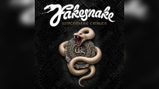Whitesnake Tribute (Fakesnake)