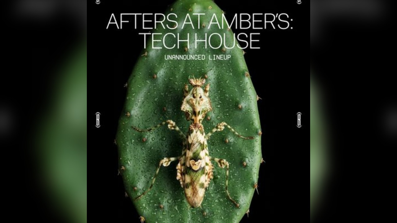 Afters at Amber's: Tech House (Unannounced Line Up)