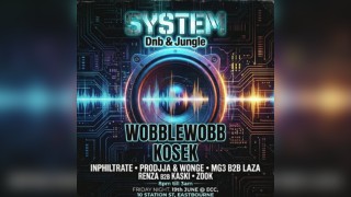 System