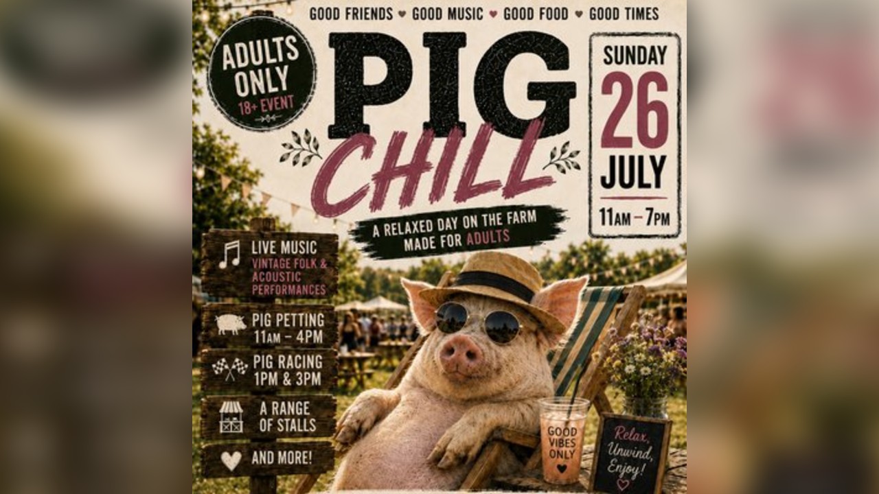 Pig Chill