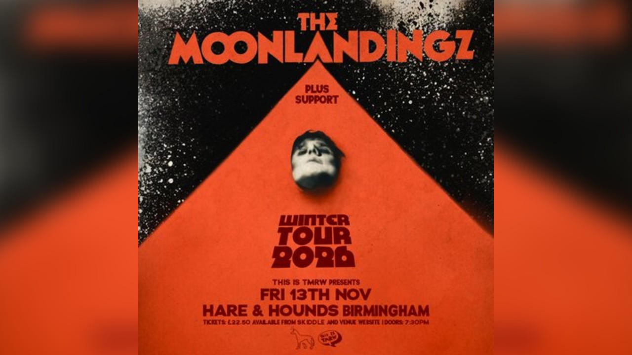 The Moonlandingz