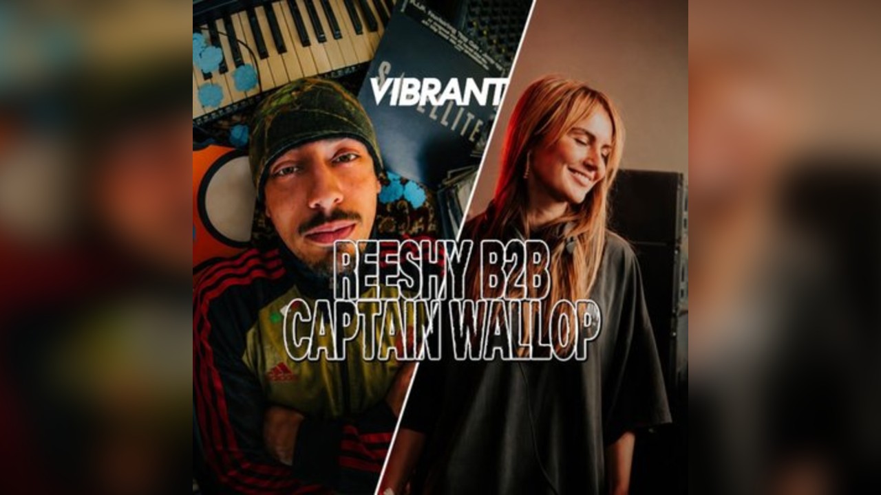 Vibrant: Captain Wallop vs Reeshy