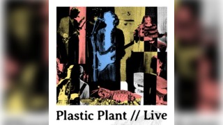 Plastic Plant