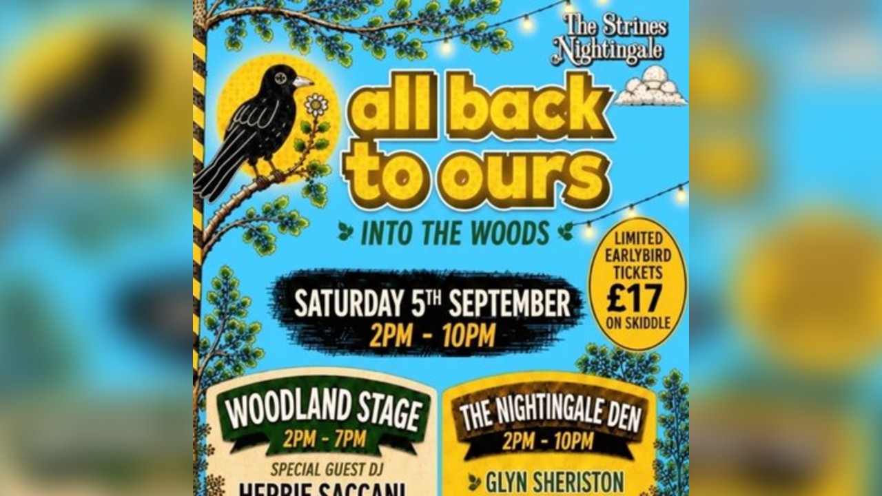 All Back To Ours  - Into the Woods - 1 day festival