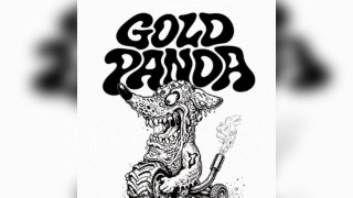 Gold Panda