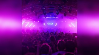 WYLD Summer Showcase