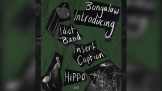 Introducing: Idiot Band, Insert Caption and HIPPO