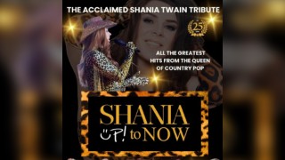 Shania up to Now