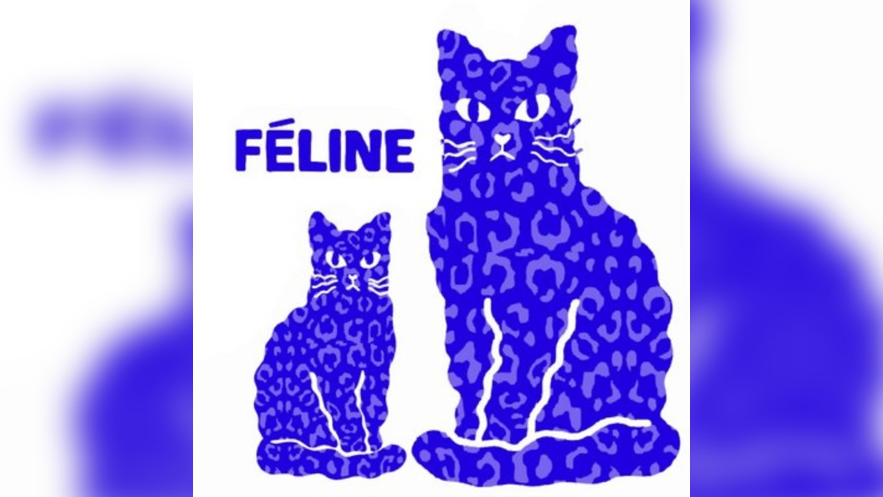 Féline  W/ ByPhil / Interpreter / Rosskkoo / Daniel McGibbon