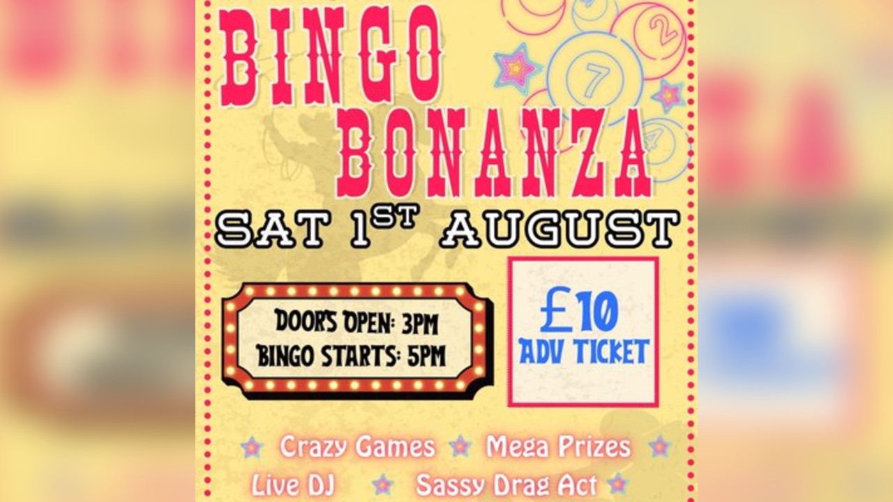Bingo Bonanza