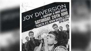 Joy Diversion