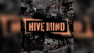 Hive Mind