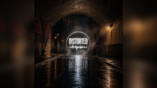 DISTORTED - The Next Phase
