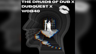 The Druids of Dub X Dubquest X WOB40 - Dub/140/Drum & Bass