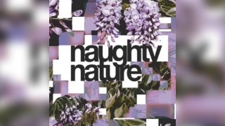 Naughty Natures 1 year anniversary