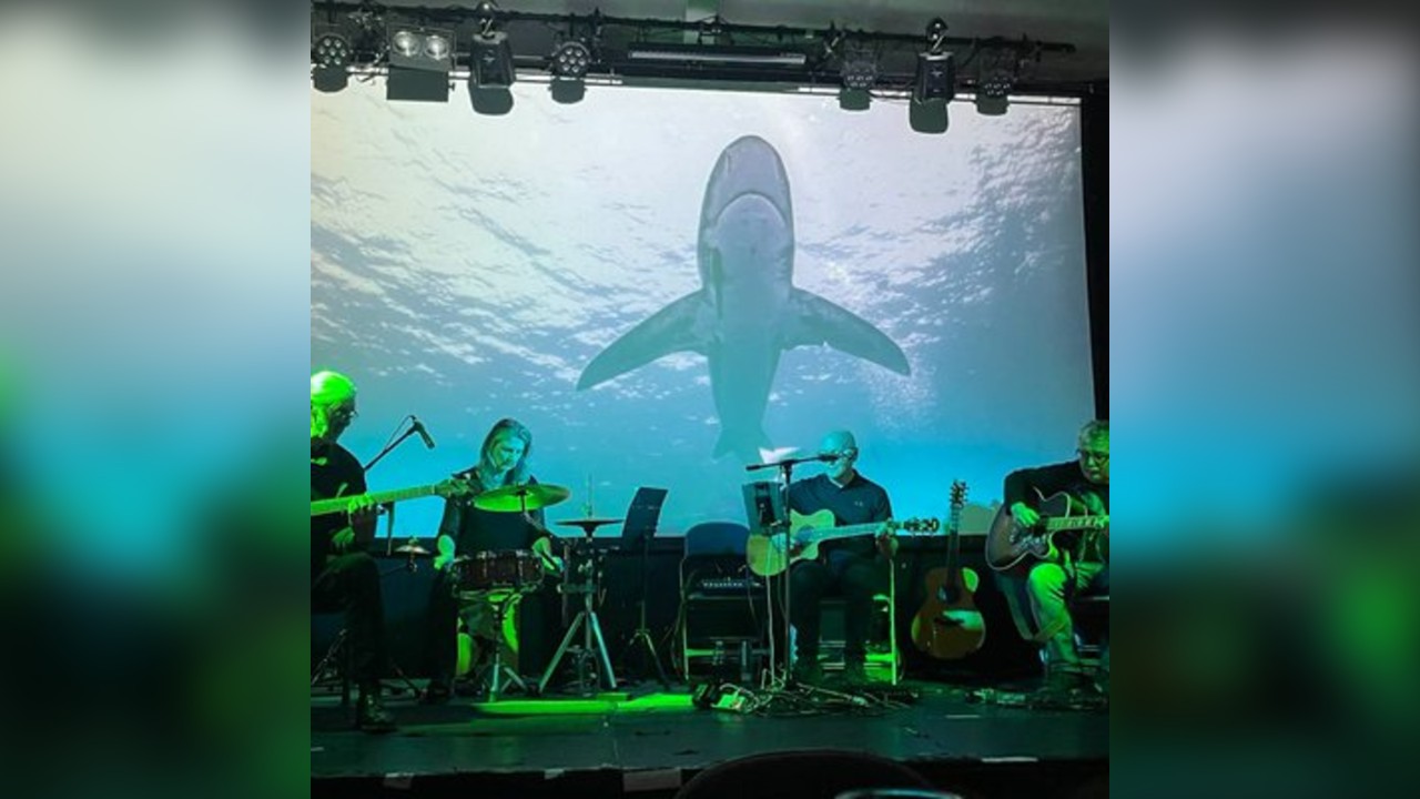 Acoustic Floyd