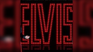 Mark Green as Elvis