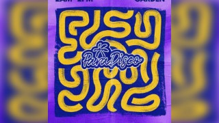 Paradisco at WAV