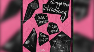 Frank's House, Pinc Wafer and Aidan Connell