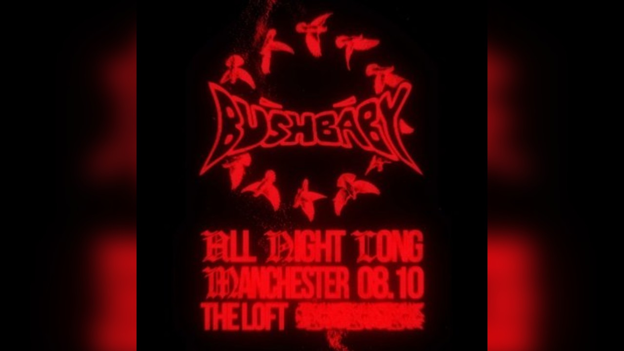 The Loft: Bushbaby (All Night Long)