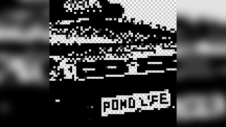 Pond Life Bristol - 3WA b2b DASEPLATE + 100% Community b2b + Hom