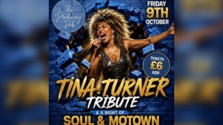 Tina Turner Tribute and a night of Soul and Motown