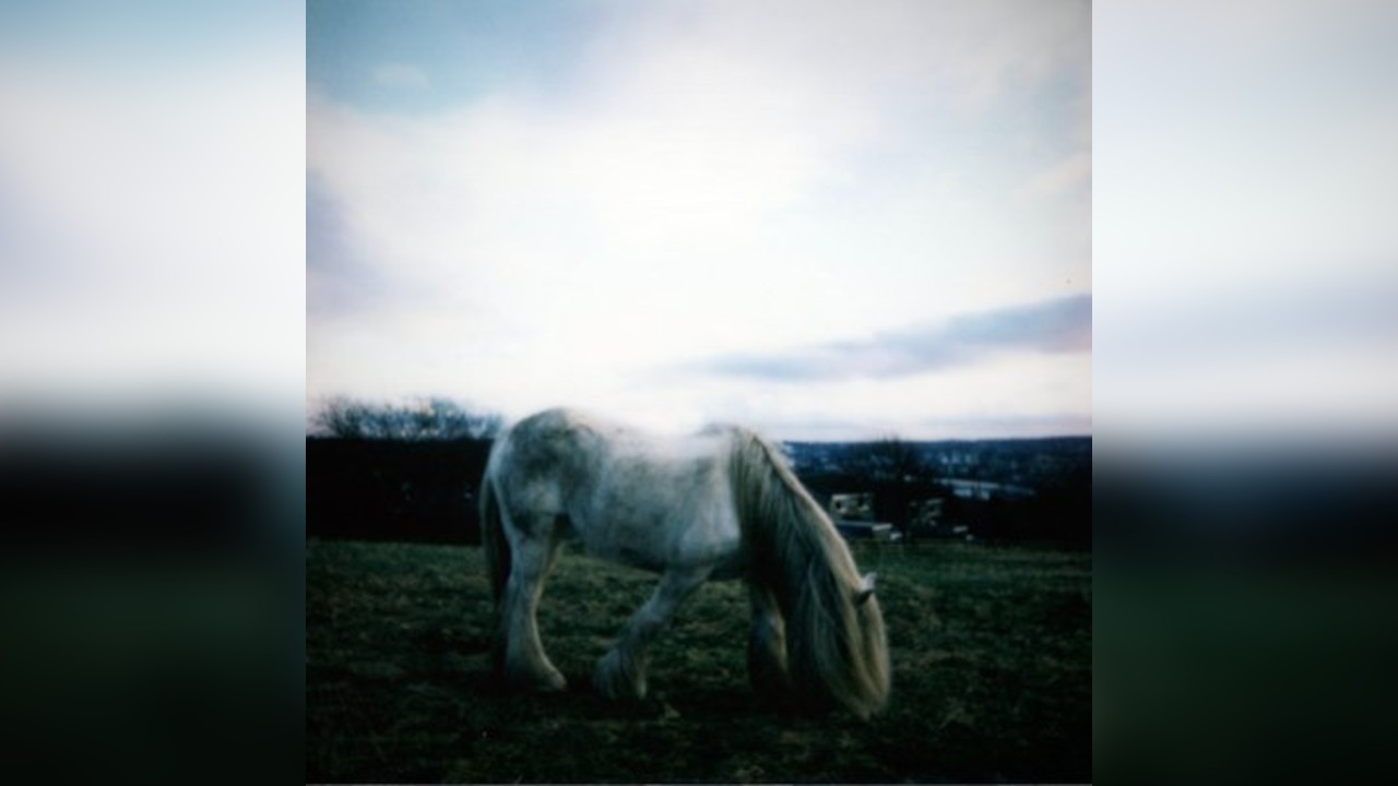 Dean McPhee + The Horse Loom