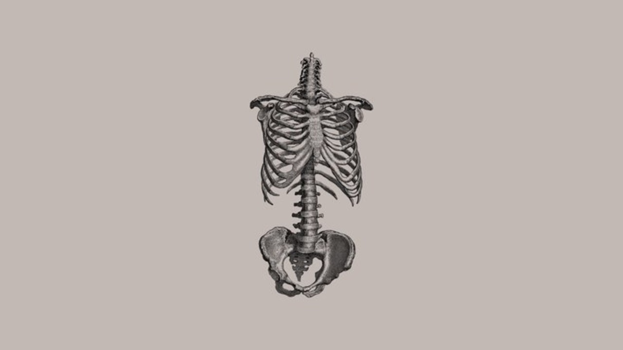 Under The Skin