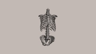 Under The Skin