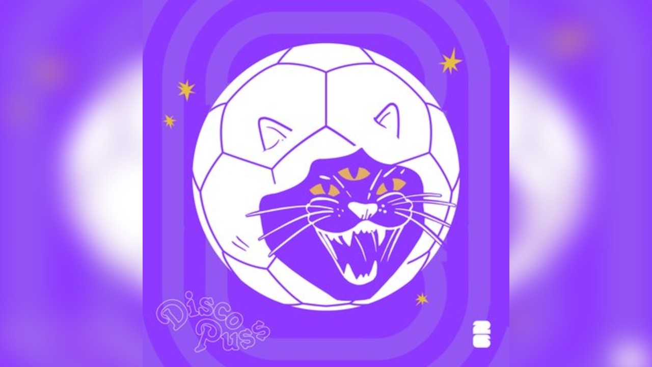 DISCO PUSS: 'Disco Ball's Coming Home' - ENGLAND vs NORWAY