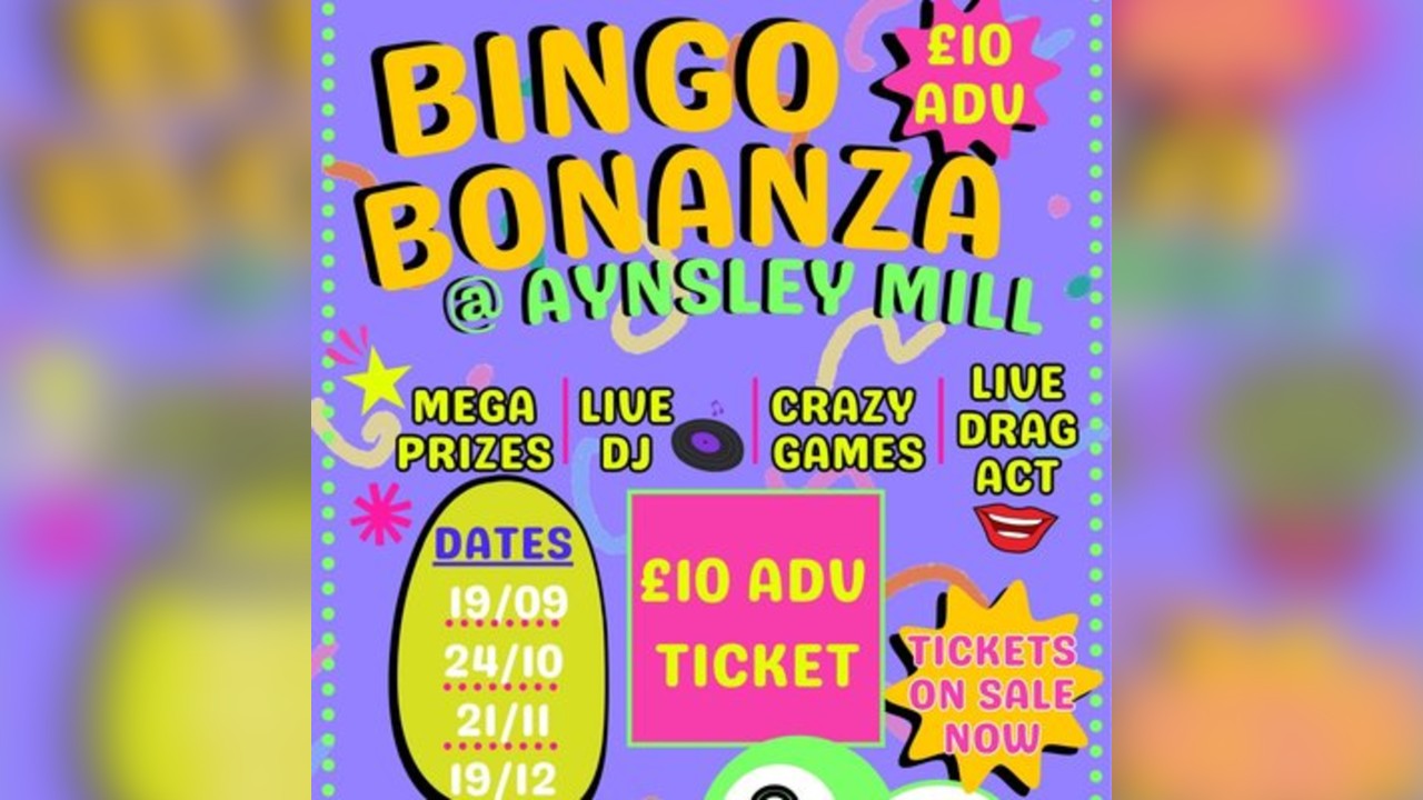 Bingo Bonanza