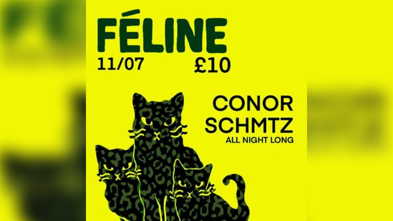 Féline  W Conor Schmtz (5 hour set)