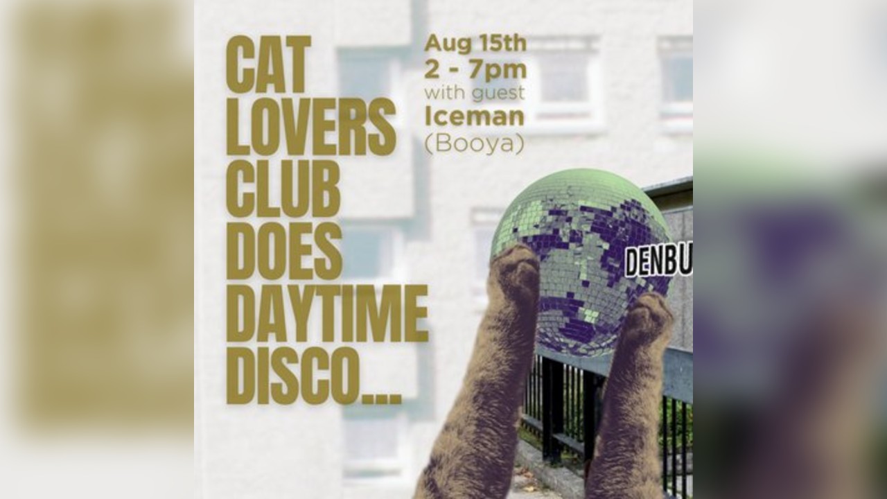 Cat Lovers Club does Daytime Disco
