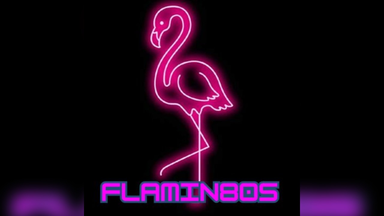 Flamingos (FLAMIN80S)