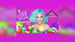 Drag Queen Bingo in Southampton