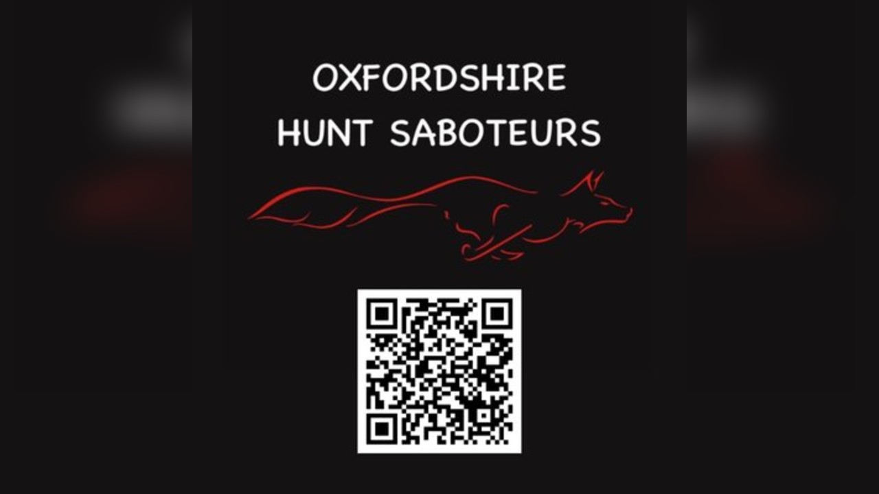Sab the Hunts