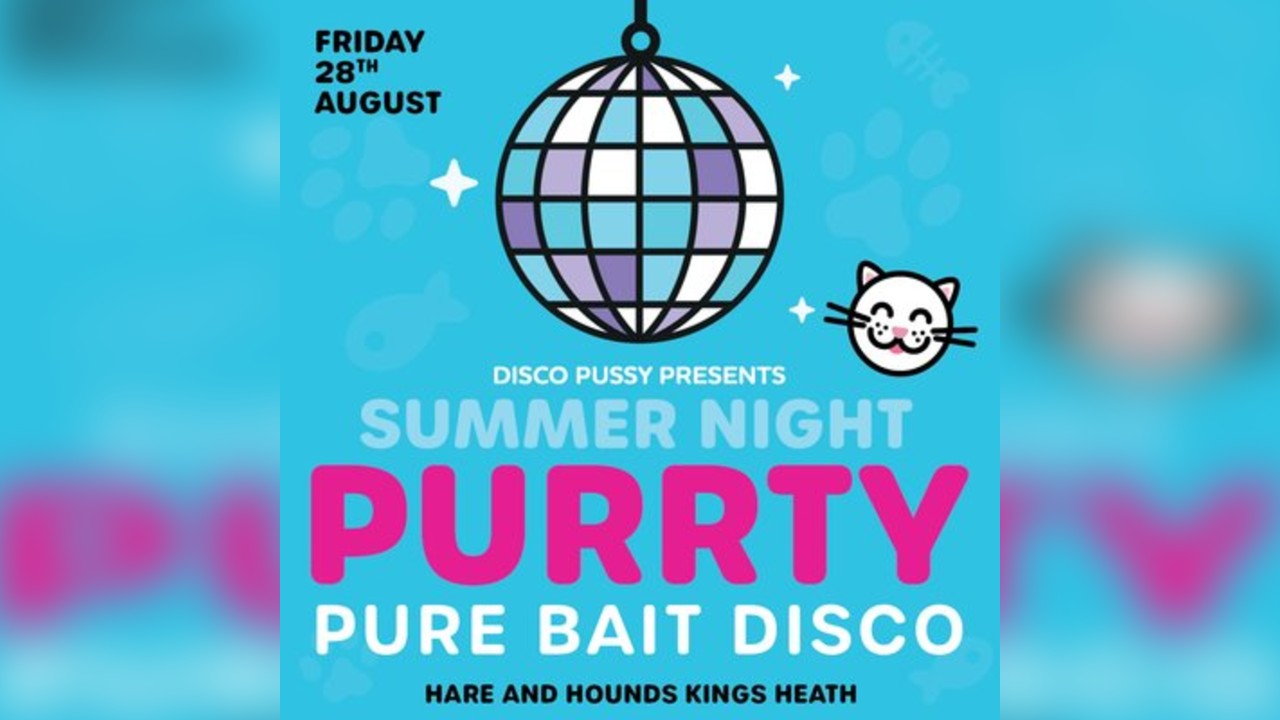 Disco Pussy - Summer Night Purrty