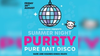Disco Pussy - Summer Night Purrty