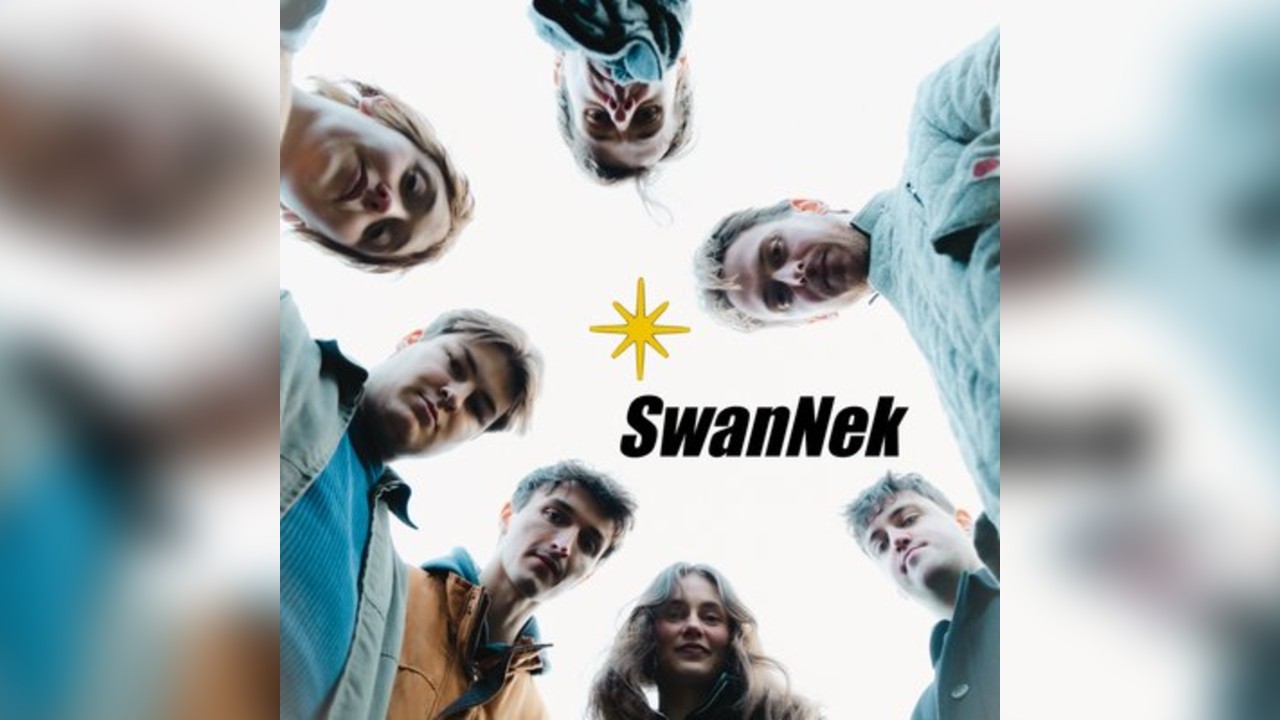 SwanNek - live