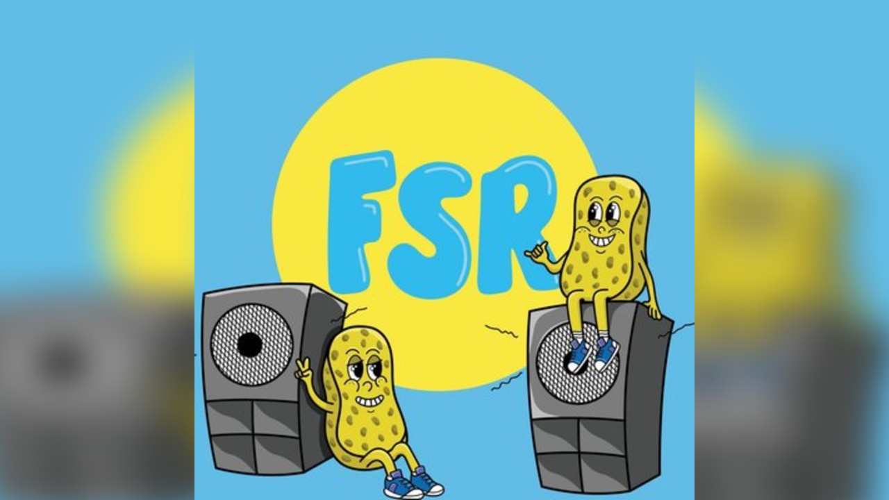 Fun Sponge Records 4th Birthday Bash
