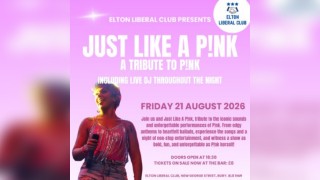 Just Like A PNK (A Tribute To PNK)