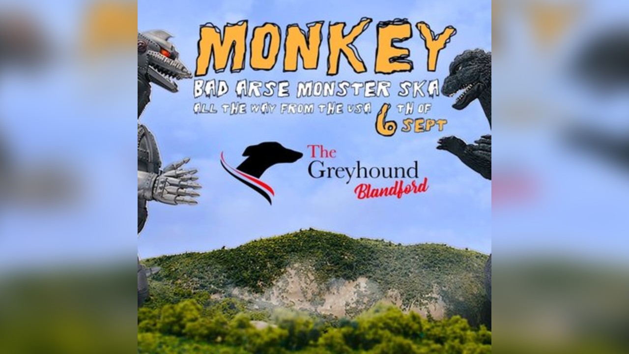 MONKEY at the Greyhound Pub (Blandford Forum)
