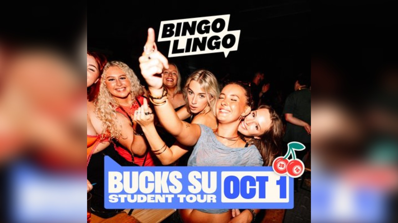Bingo Lingo