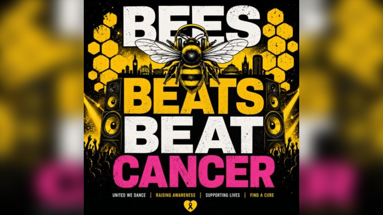 Bees Beats Beat Cancer - (Christies, MacMillan, Cancer Research)