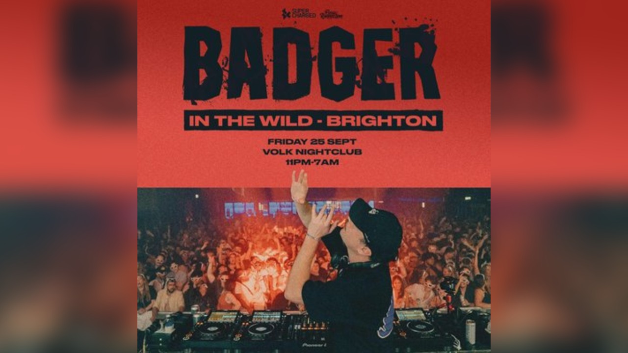 Badger - In the Wild - Brighton