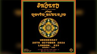 Sholto plays David Axelrod