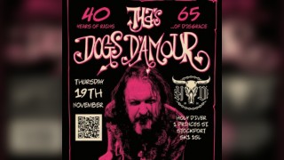 Tyla's Dogs D'Amour