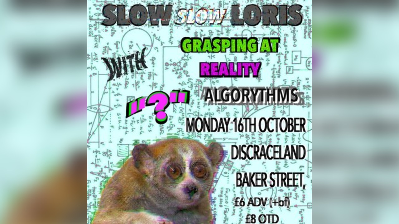 Slow Slow Loris with support